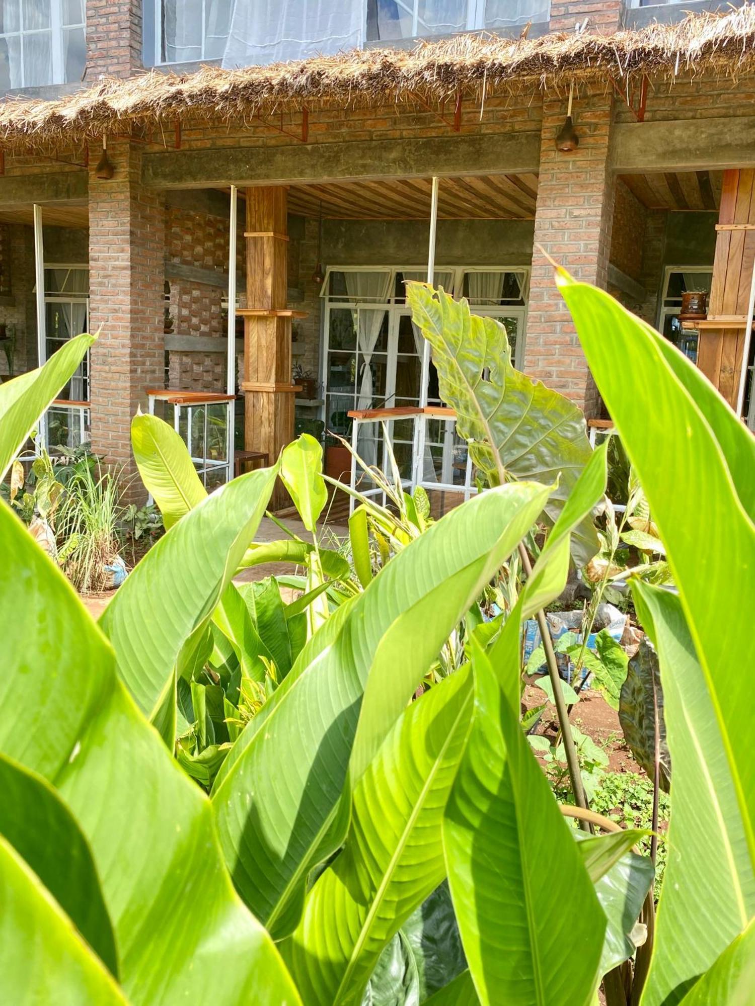 Mount Kilimanjaro 360 View Cottage Uru Luaran gambar